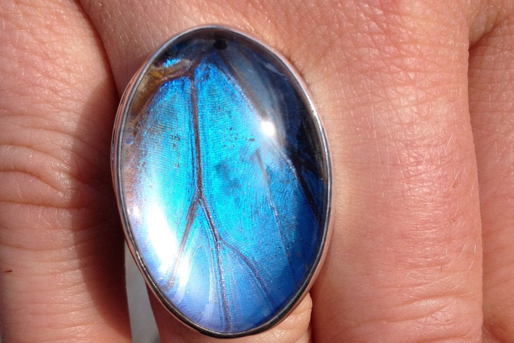 Blue morpho ring