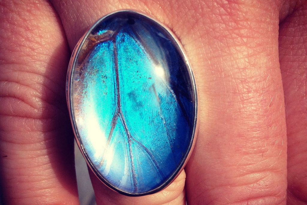 Blue morpho ring