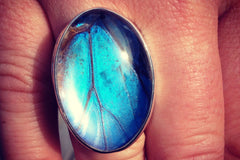 Blue morpho ring