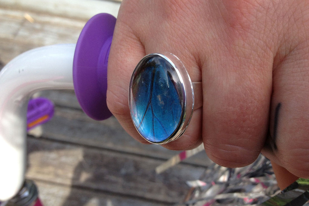 Blue morpho ring