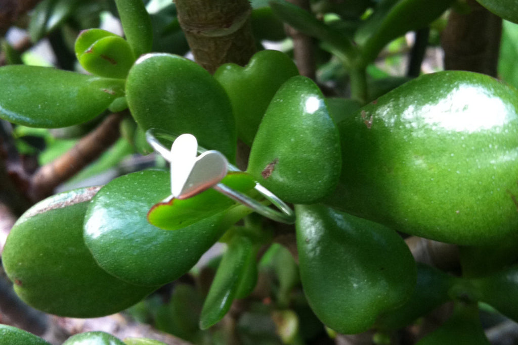 Small heart ring