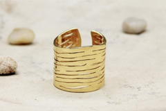 Adjustable zebra ring